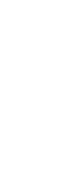 Paquita y Jaume abrieron el restaurante el 10 de Mayo de 1984. El nombre de l´Avi Mingo es un homenaje al padre de Jaume, Domingo y a su madre Roser que era la propietaria. No olvidemos tampoco a los padres de Paquita, Cisco y Carmen, que nos han ayudado, y mucho, a llegar hasta aquí. La historia del restaurante se remonta al siglo XIX y se llamaba el Bar Giral y junto con la sala Giral (después Cine Tiana), eran los ejes de la cultura tianenca, con eventos como teatro, cine, bailes de fiesta mayor , sardanas y conciertos de diferentes compositores destacando el último concierto de Isaac Albéniz en el Estado Español. El restaurante a lo largo del tiempo fue cambiando de nombre, Bar Giral, "de Dalt", "els 9 pins", del Centro ... hasta quedarse definitivamente con l'Avi Mingo. La sala Giral se convirtió en el Cine Tiana y fue la referencia y punto de encuentro de varias generaciones de tianencs, hasta que el 30 de Enero de 1984 tuvo que cerrar definitivamente sus puertas debido a la aplicación de las nuevas tecnologías. 