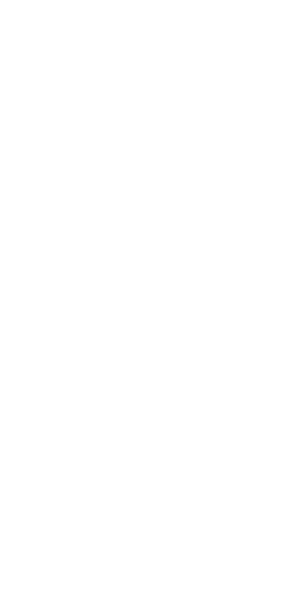 La Paquita i en Jaume van obrir el restaurant el 10 de Maig de 1984. El nom de l´Avi Mingo és un homenatge al pare d´en Jaume, en Domingo i a la seva mare la Roser que era la propietaria. No oblidem tampoc als pares de la Paquita, en Cisco i la Carmen, que ens han ajudat, i molt, a arribar fins aquí. La història del restaurant es remonta al segle XIX i s´anomenava el Bar Giral i juntament amb la sala Giral (després Cinema Tiana), eren el rovell de l´ou de la cultura tianenca, amb esdeveniments com teatre, cinema, balls de Festa Major, sardanes i concerts de diferents compositors destacant l´últim concert d´Isaac Albèniz a l´Estat Espanyol. El restaurant al llarg del temps va anar cambiant de nom, Bar Giral, de Dalt, dels 9 pins, del Centro… fins quedar-se definitivament amb l´Avi Mingo. La sala Giral es va convertir en el Cinema Tiana i va ser la referència i punt de trobada de varies generacions de tianencs, fins que el 30 de Gener del 1984 va haver de tancar definitivament les seves portes degut a l´aplicació de les noves tecnologies.